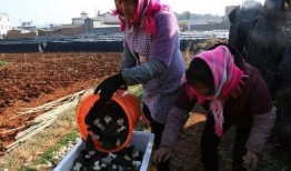 沾益最新爆料新闻视频播放,视频揭秘惊人内幕！