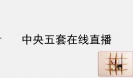 中央四套在线直播观看,实时捕捉全球精彩瞬间